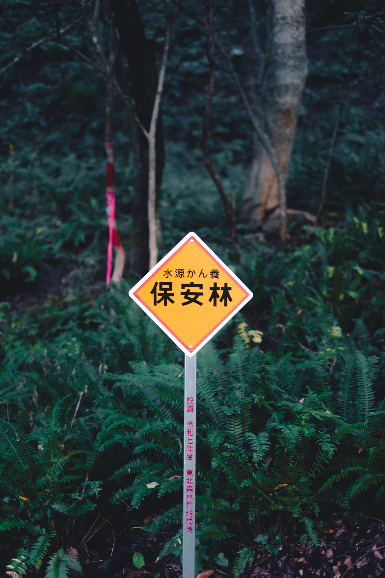 保安林の標識